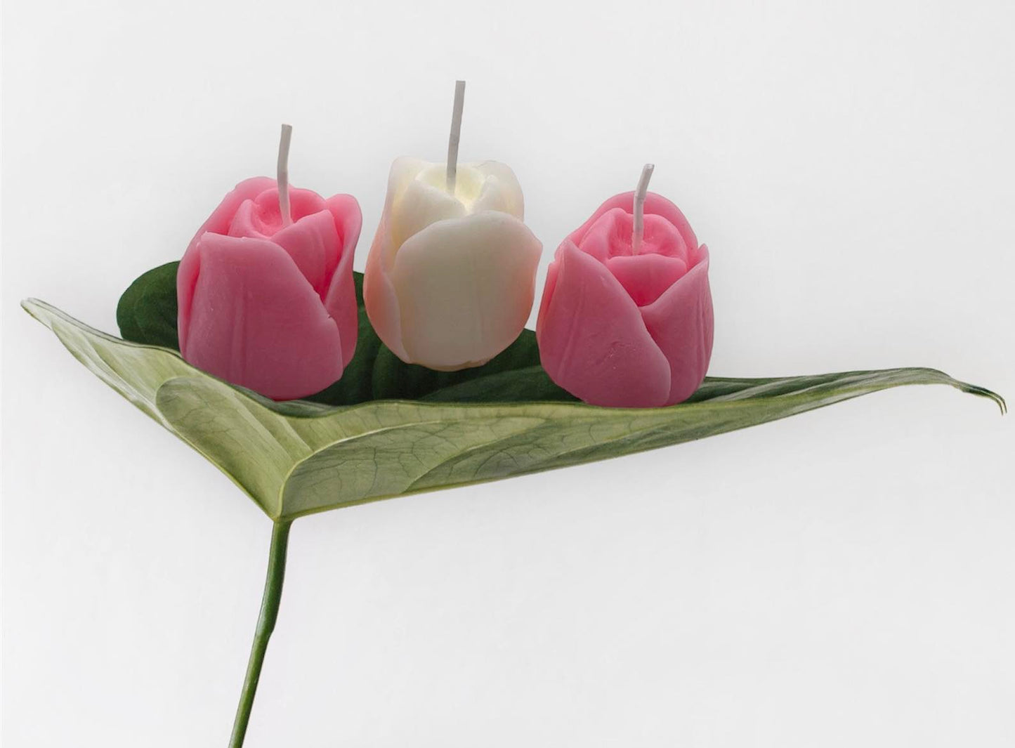 Bundle Petals of Light: Rose Bottom Candle